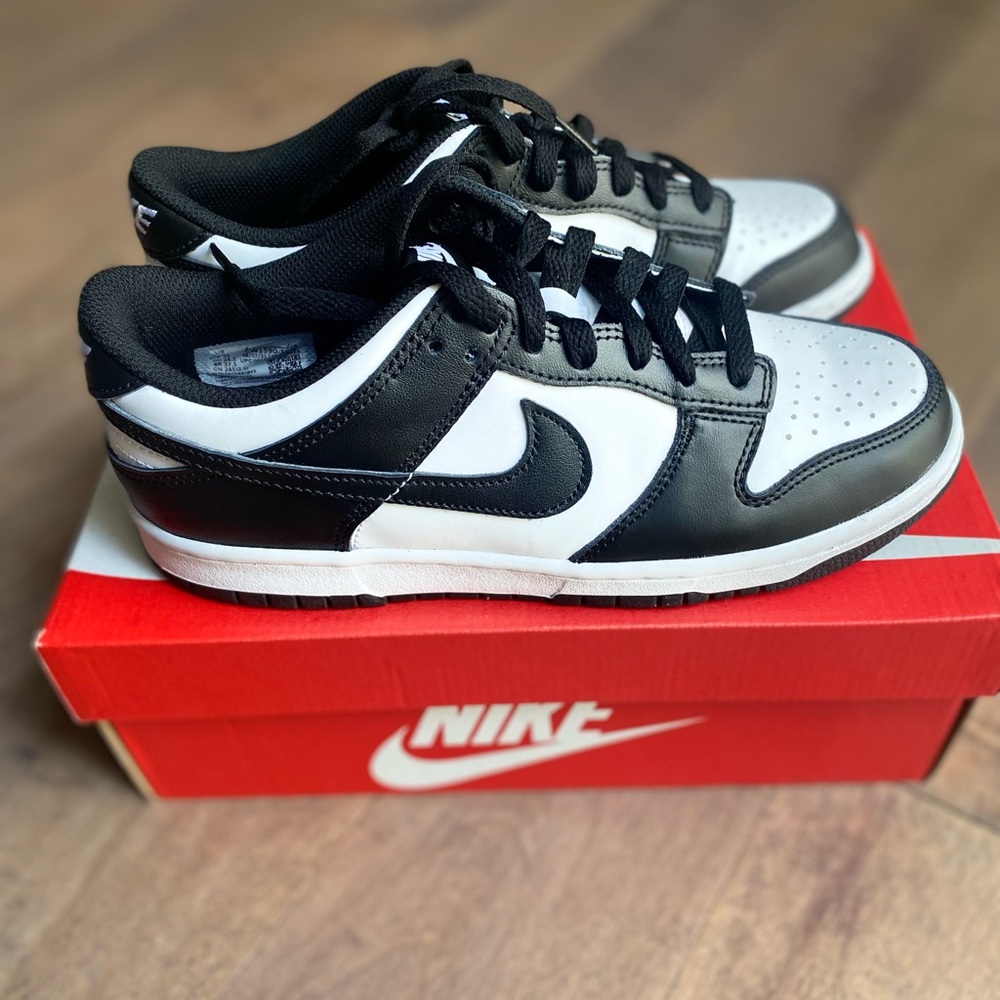 Nike Dunks LOW